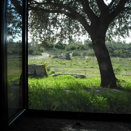 Quinta Da Alma Cheia * Ninho do Açor