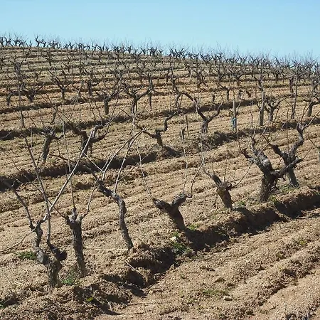 Quinta Da Alma Cheia カントリーハウス