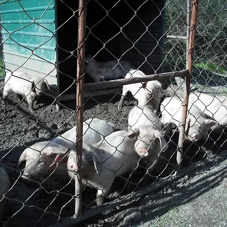 Quinta Da Alma Cheia