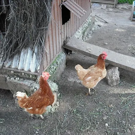 Quinta Da Alma Cheia *