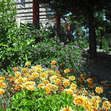 カントリーハウス Quinta Da Alma Cheia Ninho do Açor