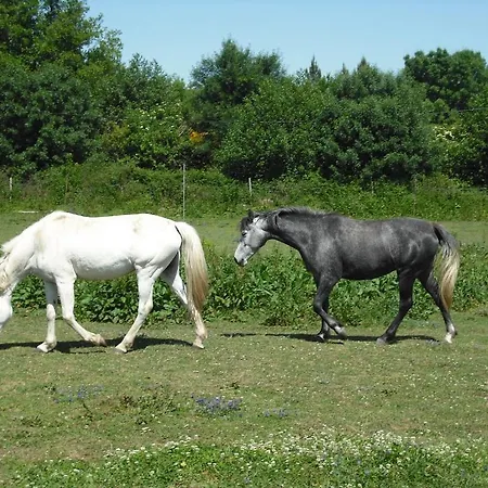 Quinta Da Alma Cheia * Ninho do Açor