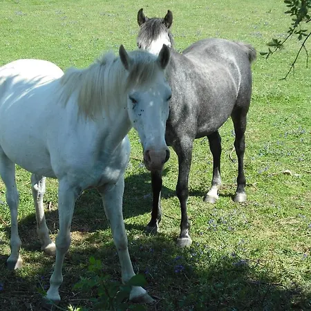 Quinta Da Alma Cheia Casa rural Ninho do Açor