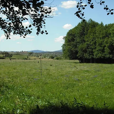 カントリーハウス Quinta Da Alma Cheia Ninho do Açor
