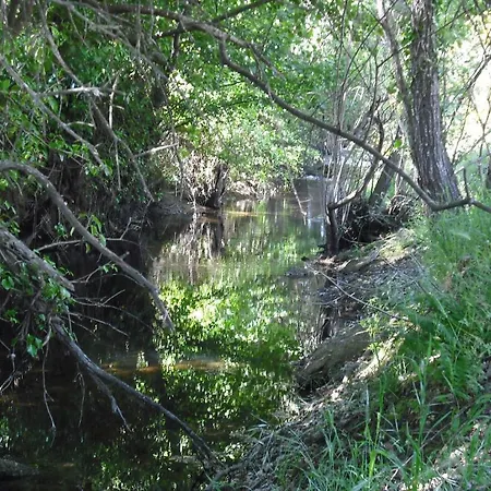 カントリーハウス Quinta Da Alma Cheia