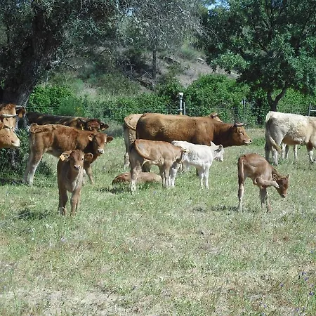 Casa rural Quinta Da Alma Cheia *