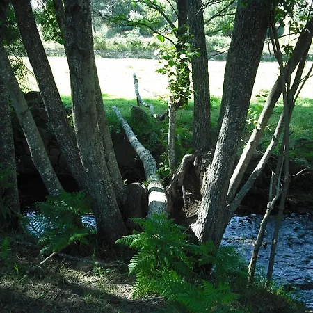 Quinta Da Alma Cheia * Ninho do Açor