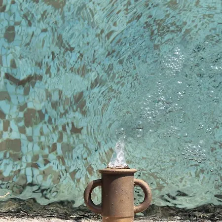 Quinta Da Alma Cheia Ninho do Açor