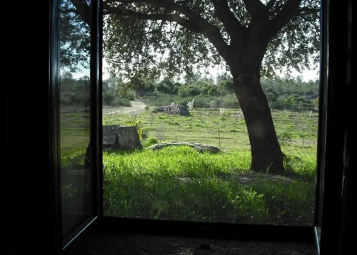 Quinta Da Alma Cheia * Ninho do Açor