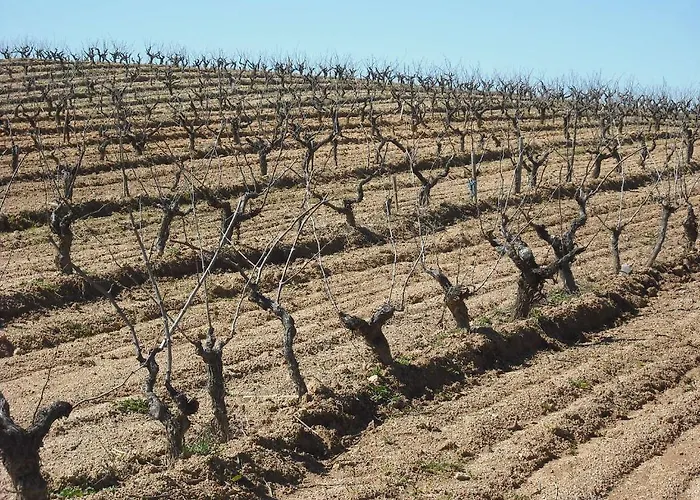Quinta Da Alma Cheia Landhaus