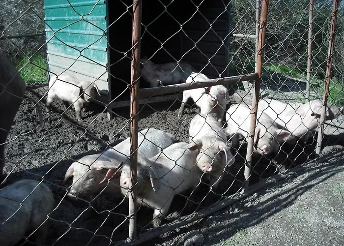 Quinta Da Alma Cheia