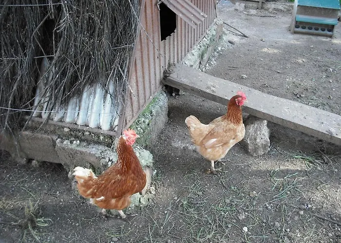 Quinta Da Alma Cheia *