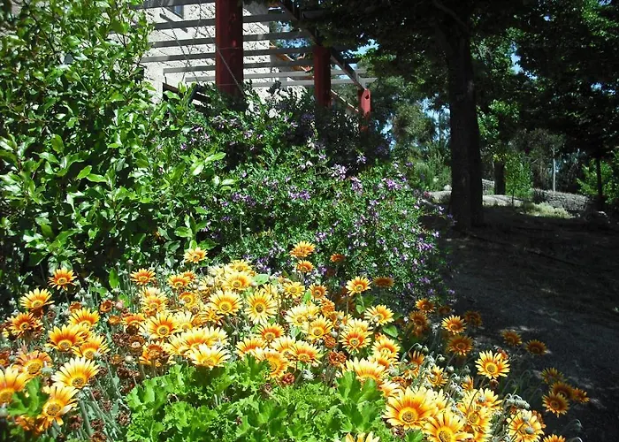Landhaus Quinta Da Alma Cheia Ninho do Açor
