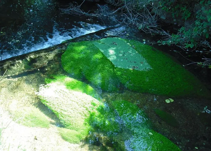 Quinta Da Alma Cheia