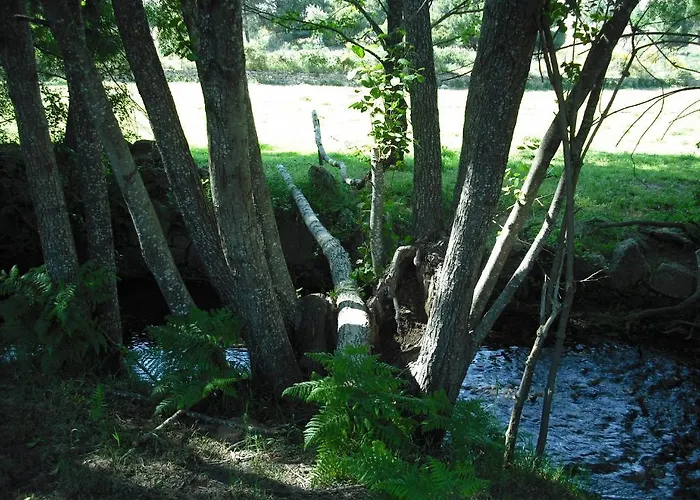 Quinta Da Alma Cheia * Ninho do Açor