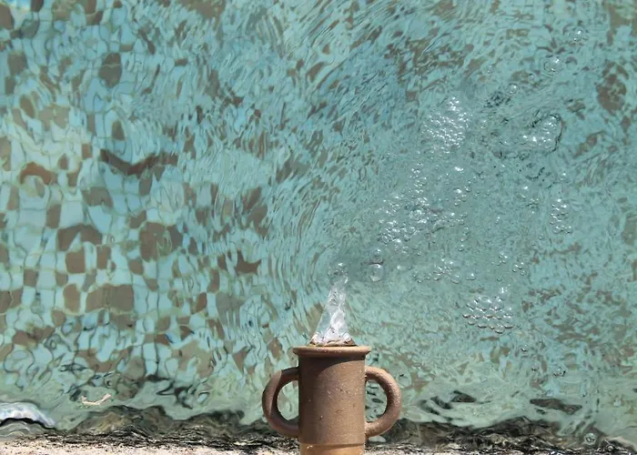 Quinta Da Alma Cheia Ninho do Açor